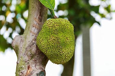 免费游戏《我的第一个GT赛车》登陆PS4和PS5